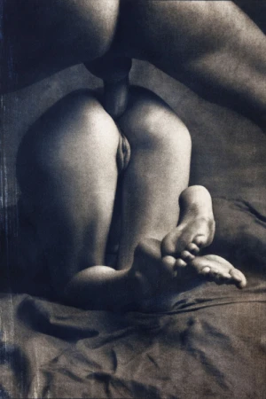artistic anal