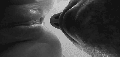 Kiss miss