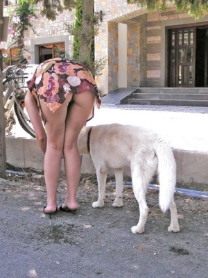 Pic
