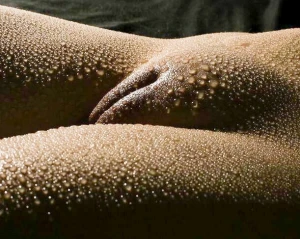wet pussy