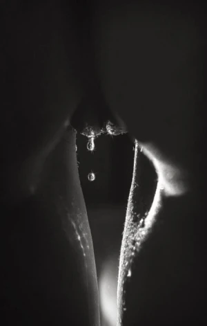 drip drip