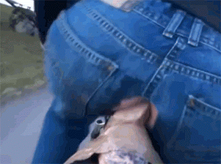 bike fucker