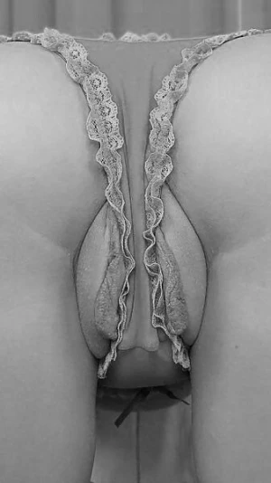panties