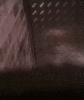 Nightclub Toilet Fuck