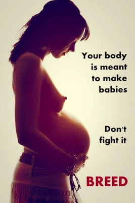 Don't Fight It
