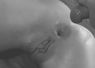 Gif