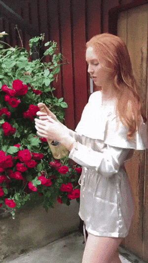 Gif