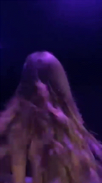HOT