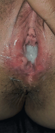 Gif