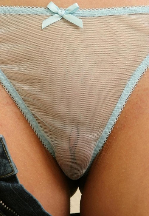 Sheet panty