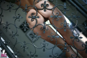iron-work